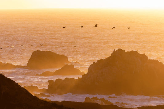 5 Reasons To Be Thankful For The Oceans